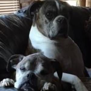 Meet your Posher, Tony